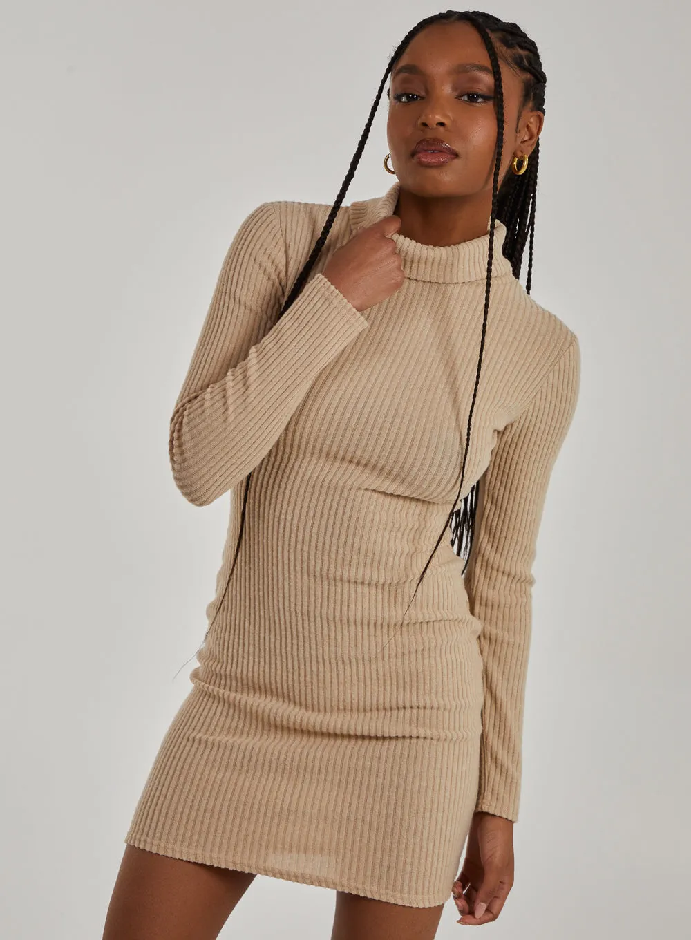Chunky Brushed Rib Roll Neck Dress