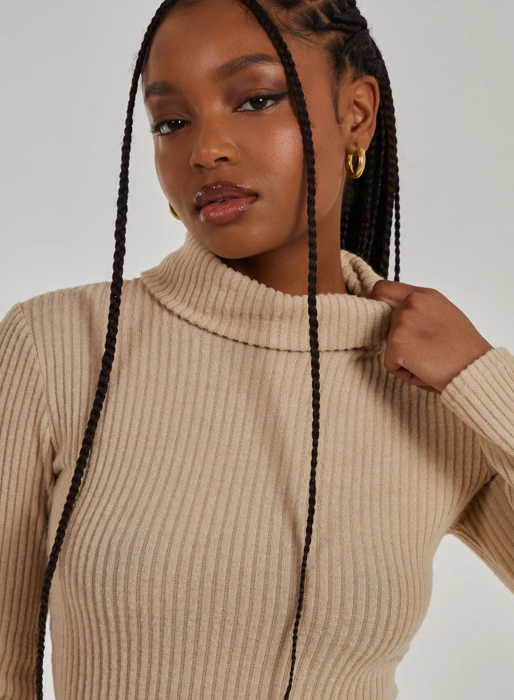 Chunky Brushed Rib Roll Neck Dress
