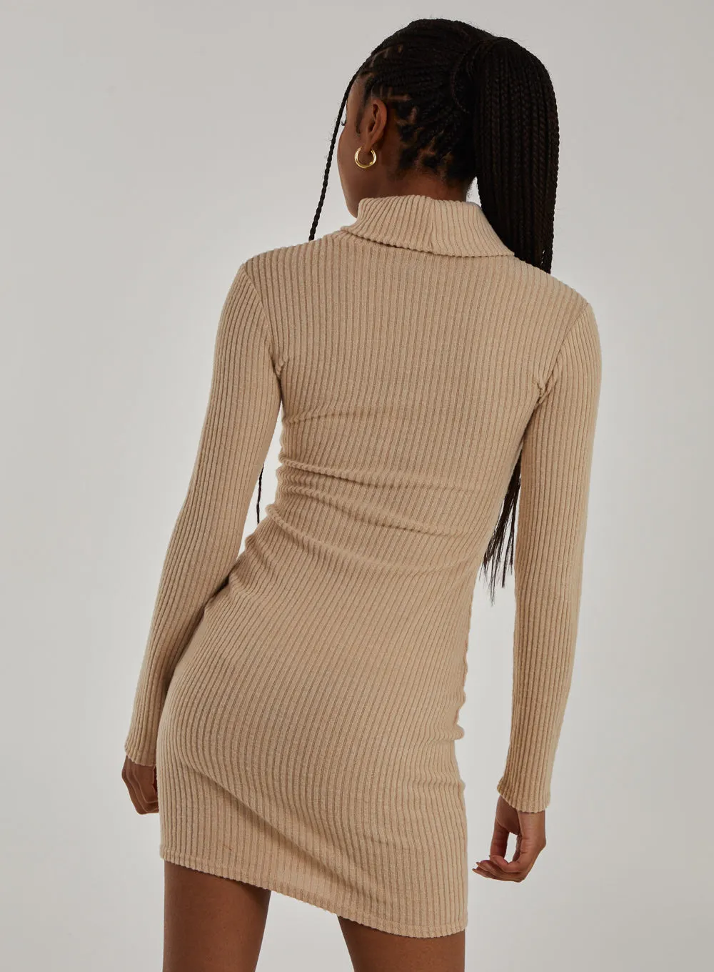 Chunky Brushed Rib Roll Neck Dress