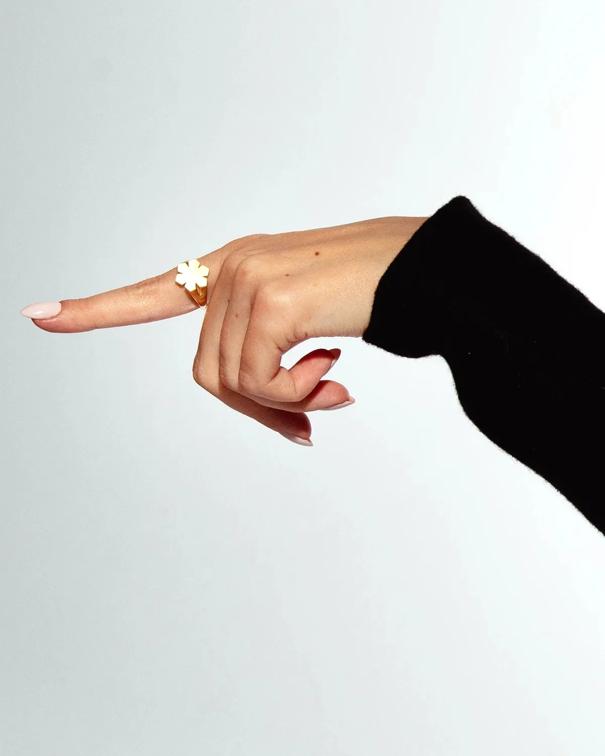 CHUNKY KALMUS RING