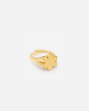 CHUNKY KALMUS RING