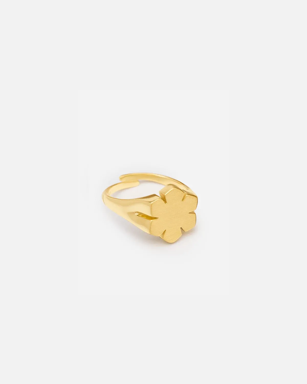 CHUNKY KALMUS RING
