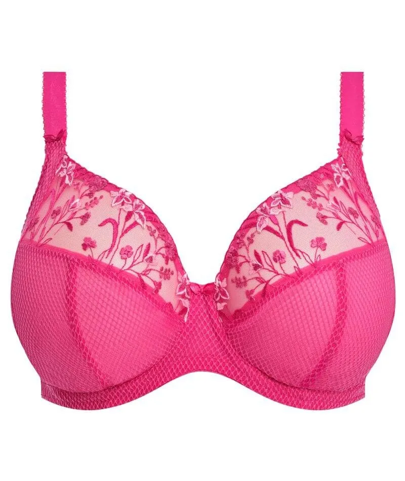 Elomi Charley Underwire Plunge Bra - Pink